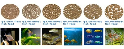 Machine d'extrudeuse pour aliments flottants pour poissons